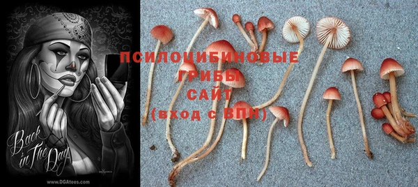 мескалин Баксан